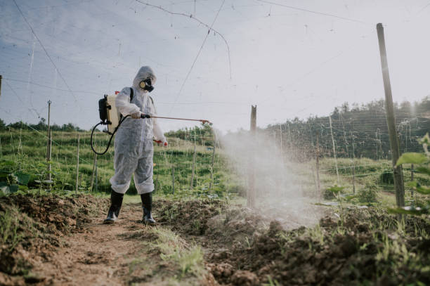 Best Pest Removal Services  in Grizzly Flats, CA