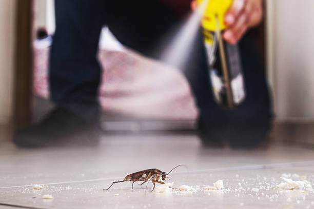 Professional Pest Control in Grizzly Flats, CA