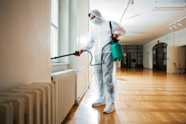 Best Affordable Pest Control Services  in Grizzly Flats, CA